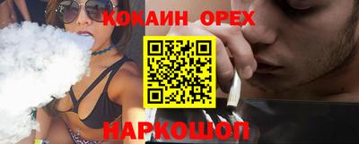 гидра Будённовск