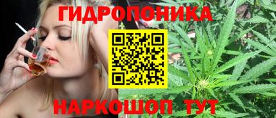 гидра Будённовск