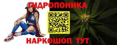 гидра Будённовск
