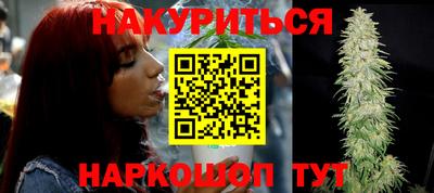 гидра Будённовск