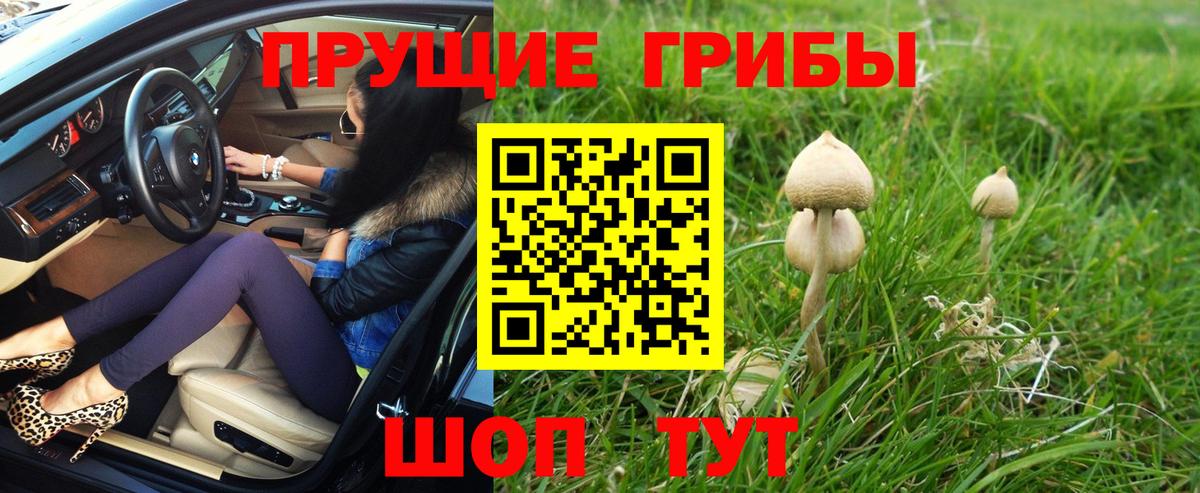 Пугачёв  Псилоцибиновые грибы MAGIC MUSHROOMS  магазин  наркотиков  Вход с VPN 